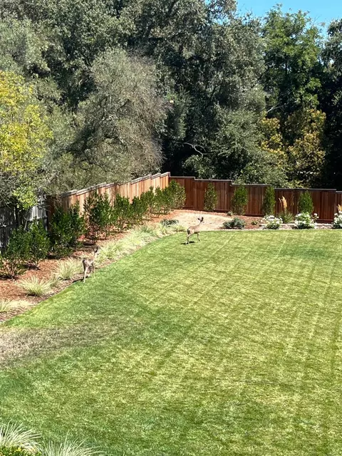 2616 Willow Way, Carmichael, CA 95608 photo 6