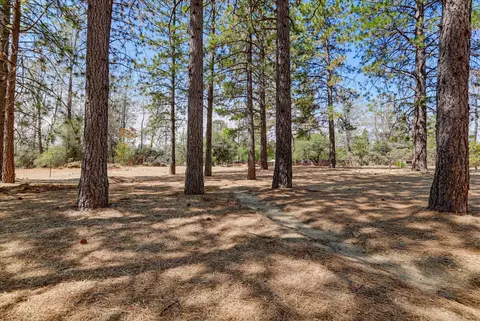 Exterior - 12175 Thunder Rd, Grass Valley, CA 95949 photo 12 of 18