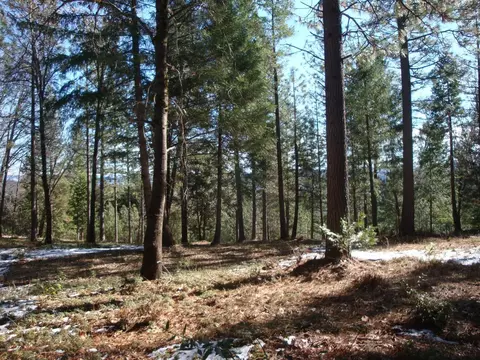 0 Foresthill, Foresthill, CA 95631 photo 2