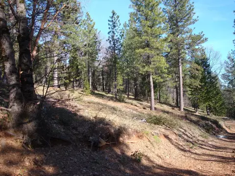 0 Foresthill, Foresthill, CA 95631 photo 3