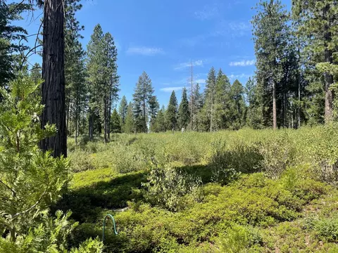 Exterior - 163 Mill Creek Cir, Arnold, CA 95223 photo 8 of 11