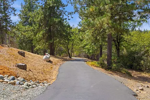 Other - 90 Edelweiss Ln, Applegate, CA 95703 photo 13 of 17