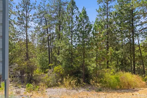 Exterior - 90 Edelweiss Ln, Applegate, CA 95703 photo 23 of 39
