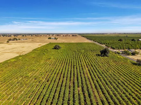 16205 Linn Rd, Lodi, CA 95240 photo 22