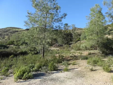 0 White Rock Rd, Mountain Ranch, CA 95246 photo 20