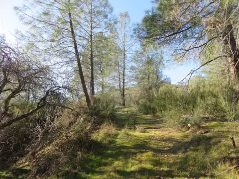 0 White Rock Rd, Mountain Ranch, CA 95246 photo 10