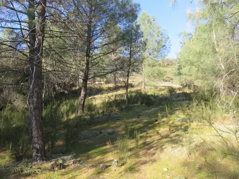 0 White Rock Rd, Mountain Ranch, CA 95246 photo 11