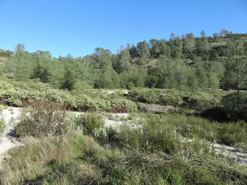 0 White Rock Rd, Mountain Ranch, CA 95246 photo 15