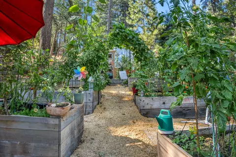 Exterior - 5962 Arrowhead Dr, Foresthill, CA 95631 photo 12 of 22