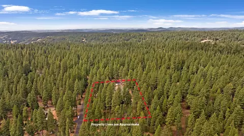View/Area - 19310 Pine Dr, Pioneer, CA 95666 photo 6 of 9