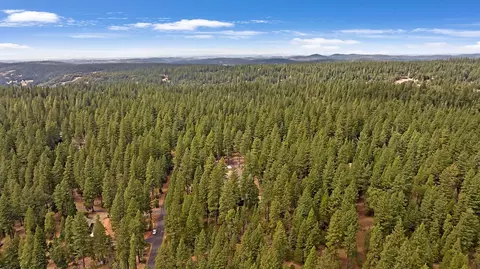 View/Area - 19310 Pine Dr, Pioneer, CA 95666 photo 7 of 9