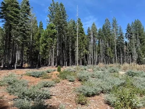 15379 Robbins Ranch Rd, Nevada City, CA 95959