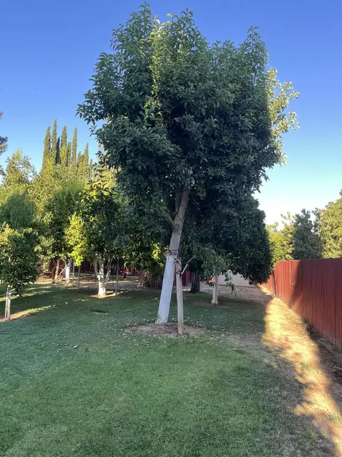 Exterior - 2238 Leslie Ct, Live Oak, CA 95953 photo 7 of 7