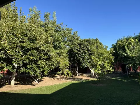 Exterior - 2238 Leslie Ct, Live Oak, CA 95953 photo 4 of 7