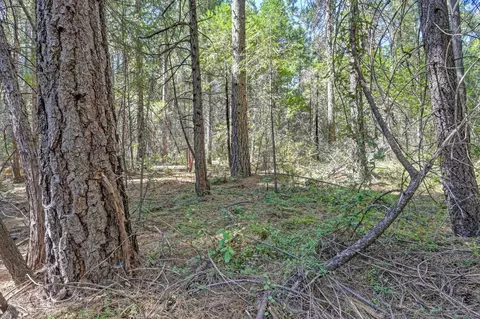 0 0 Big Dipper, Colfax, CA 95713 photo 26