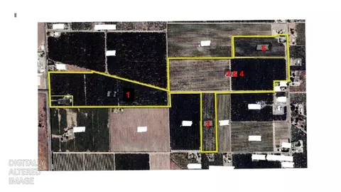 11475 S Union Rd, Manteca, CA 95336 photo 2