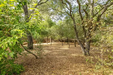 Exterior - 7034 Ara Ln, Carmichael, CA 95608 photo 7 of 8