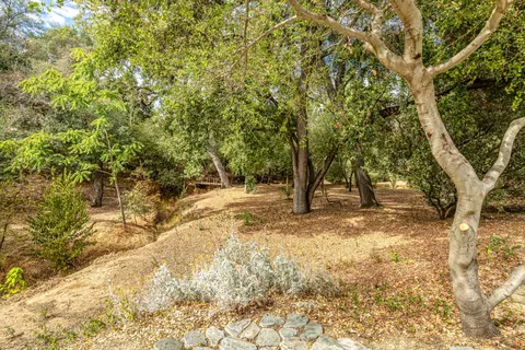 Exterior - 7034 Ara Ln, Carmichael, CA 95608 photo 5 of 8