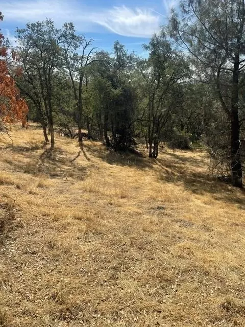 4748 Pine Tree Ct, Pilot Hill, CA 95664 photo 7