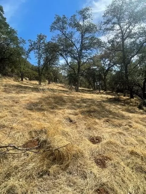 4748 Pine Tree Ct, Pilot Hill, CA 95664 photo 8