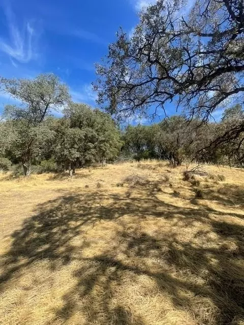 4748 Pine Tree Ct, Pilot Hill, CA 95664 photo 19