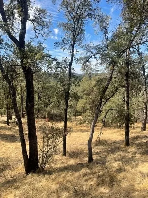 4748 Pine Tree Ct, Pilot Hill, CA 95664 photo 9