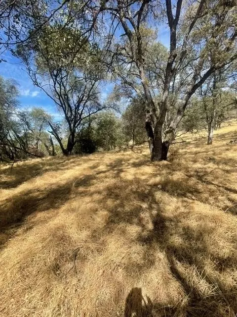 4748 Pine Tree Ct, Pilot Hill, CA 95664 photo 15