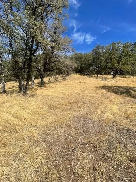4748 Pine Tree Ct, Pilot Hill, CA 95664 photo 18