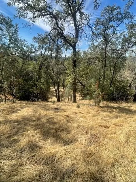 4748 Pine Tree Ct, Pilot Hill, CA 95664 photo 2