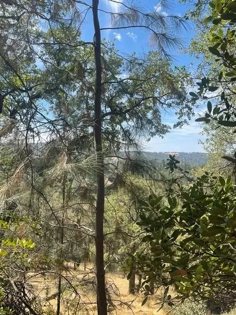 4748 Pine Tree Ct, Pilot Hill, CA 95664 photo 3