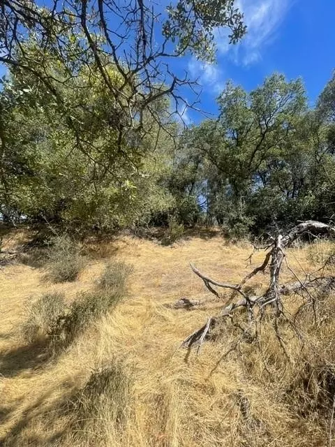 4748 Pine Tree Ct, Pilot Hill, CA 95664 photo 20