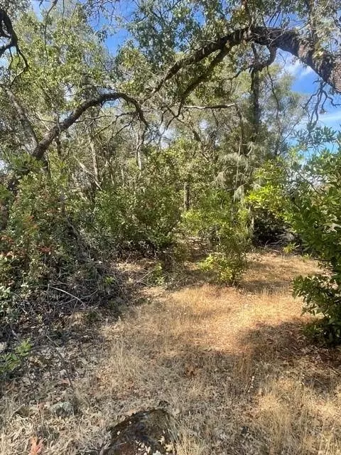 4748 Pine Tree Ct, Pilot Hill, CA 95664 photo 23