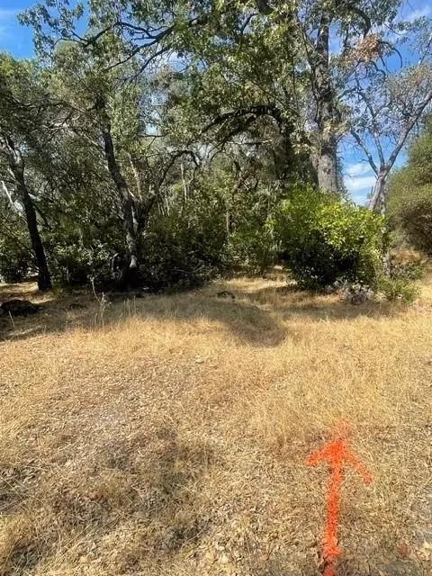 4748 Pine Tree Ct, Pilot Hill, CA 95664 photo 25