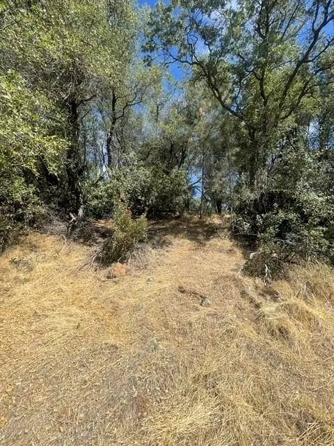 4748 Pine Tree Ct, Pilot Hill, CA 95664 photo 21