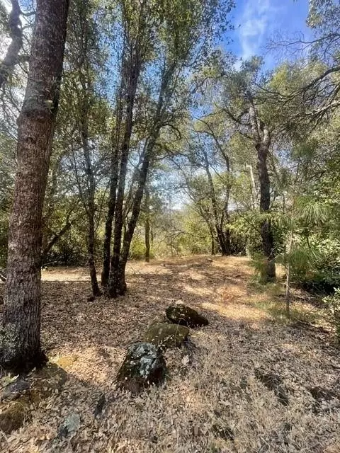 4748 Pine Tree Ct, Pilot Hill, CA 95664 photo 22