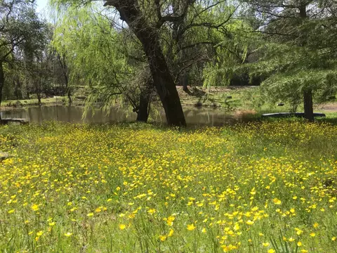 Other - 12501 Sutherland Dr, Grass Valley, CA 95949 photo 11 of 11