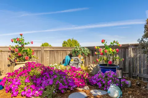 Exterior - 2810 Springfield Dr, Rocklin, CA 95765 photo 12 of 16