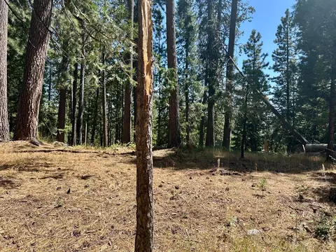 2659 Valley View Dr, Arnold, CA 95223 photo 2