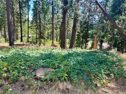 2659 Valley View Dr, Arnold, CA 95223 photo 3