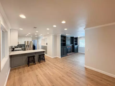 Living - 461 Adair St, Elverta, CA 95626 photo 5 of 5