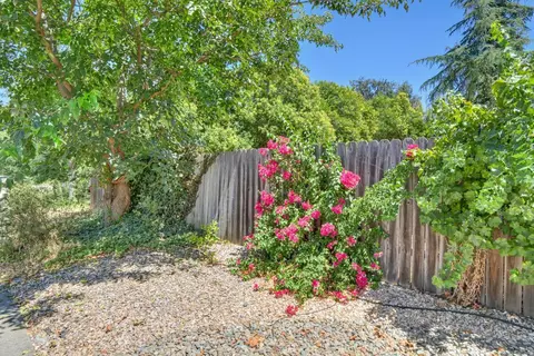 Exterior - 808 K St, Davis, CA 95616 photo 16 of 22