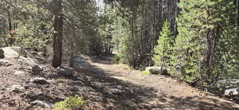 21031 Donner Pass Rd, Soda Springs, CA 95728