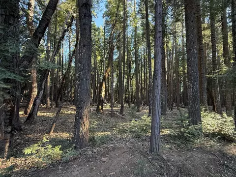 0 Chalk Blf, Nevada City, CA 95959