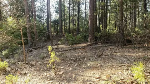 40 Ringtail Rd, Georgetown, CA 95634 photo 23