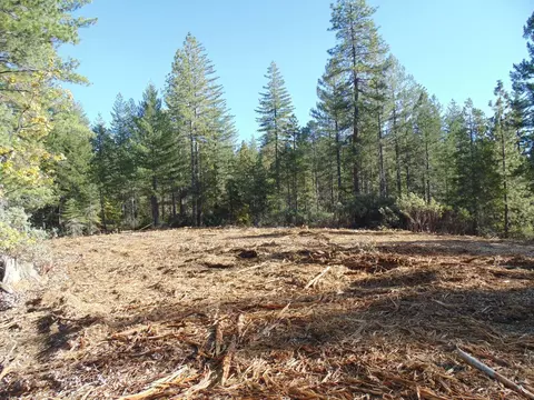 40 Ringtail Rd, Georgetown, CA 95634 photo 13