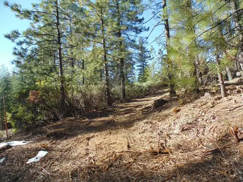 40 Ringtail Rd, Georgetown, CA 95634 photo 3