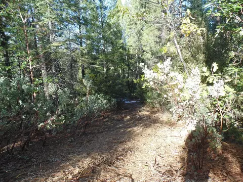 40 Ringtail Rd, Georgetown, CA 95634 photo 18
