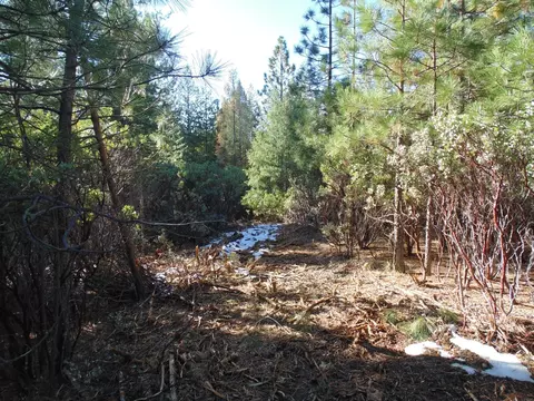 40 Ringtail Rd, Georgetown, CA 95634 photo 6
