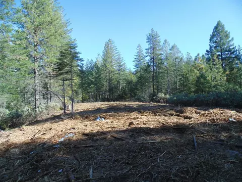 40 Ringtail Rd, Georgetown, CA 95634 photo 4