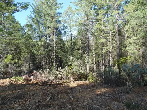 40 Ringtail Rd, Georgetown, CA 95634 photo 12